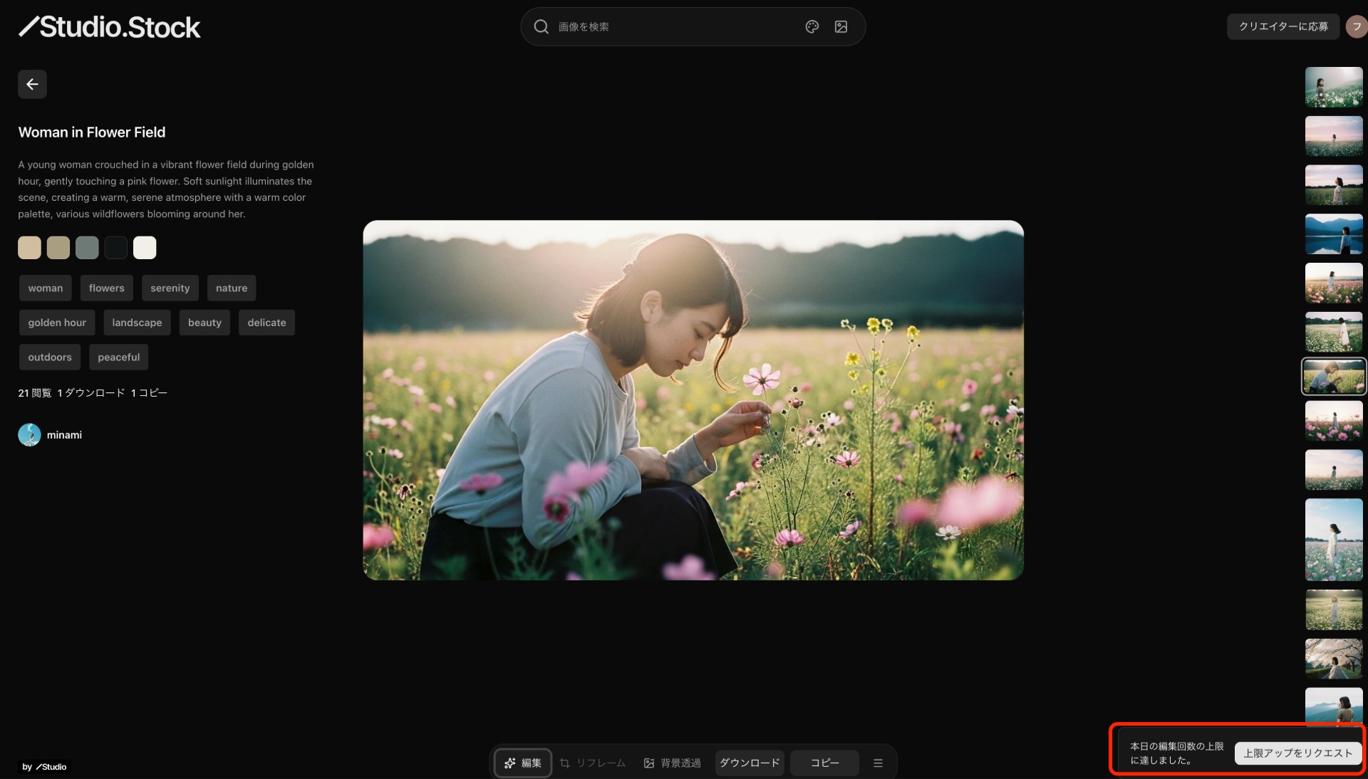 プロンプトは一日の上限が決まっている